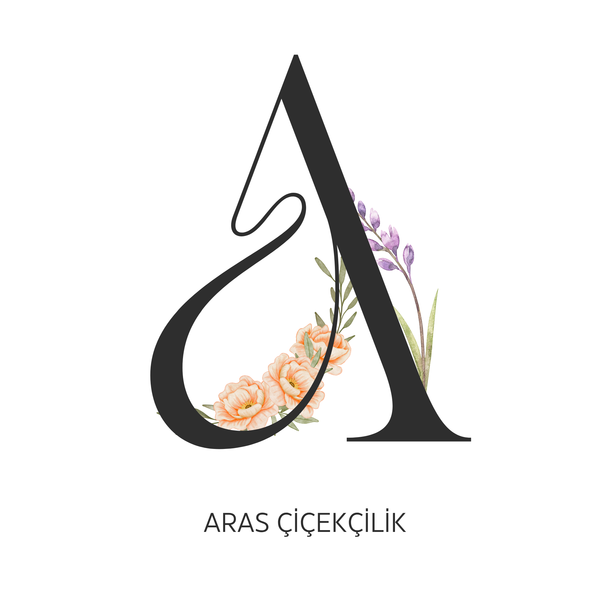 footer-logo